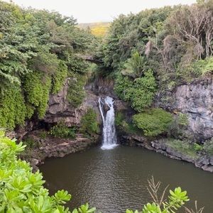 Meet your Posher, Nathan